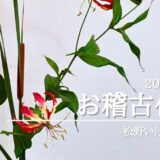 松野いけばな教室｜2025年7月お稽古作品　生花一種生（杜若）・生花新風体