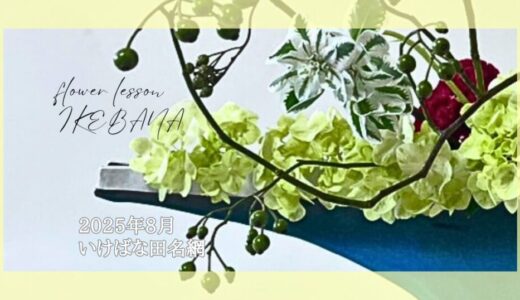 いけばな田名網｜2025年8月分お稽古作品　晩夏の自由花・三種生など