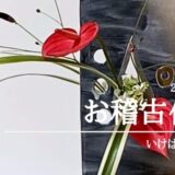 いけばな田名網｜2025年8月分お稽古作品　自由花他