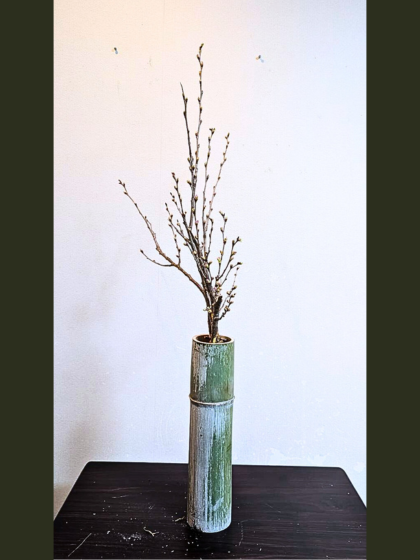 池坊 片岡いけばな教室 一種生