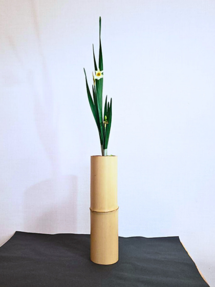 池坊　松野いけばな教室　水仙一種生