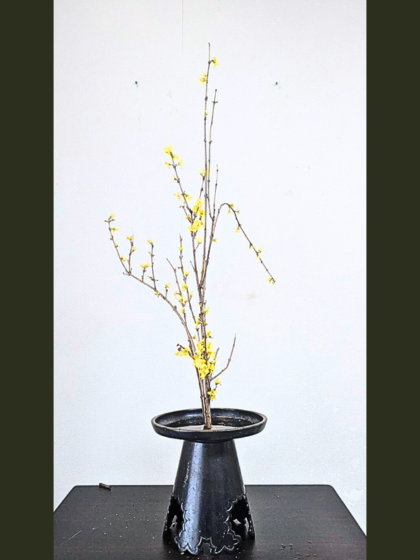 池坊 片岡いけばな教室 一種生