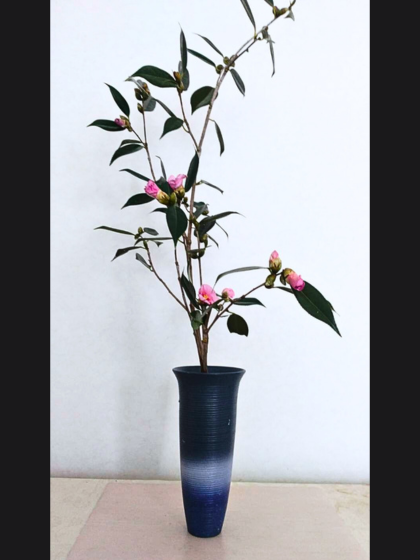 池坊　藤田いけばな教室　生花　一種生