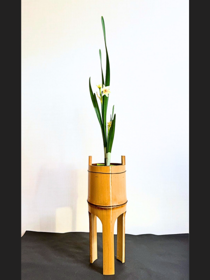 池坊　松野いけばな教室　水仙一種生