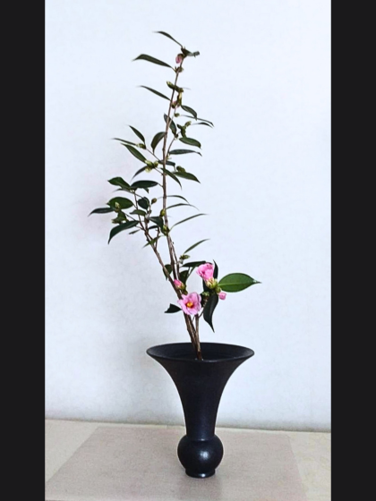 池坊　藤田いけばな教室　生花　一種生