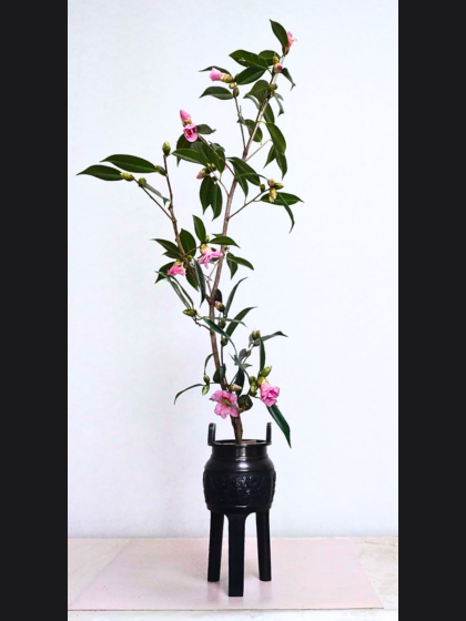 池坊　藤田いけばな教室　生花　一種生