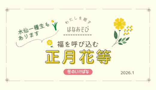 冬のいけばな｜福を呼び込む正月花・水仙一種生