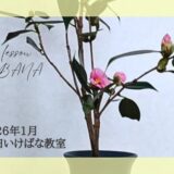 藤田いけばな教室｜2026年1月お稽古作品　侘助の一種生