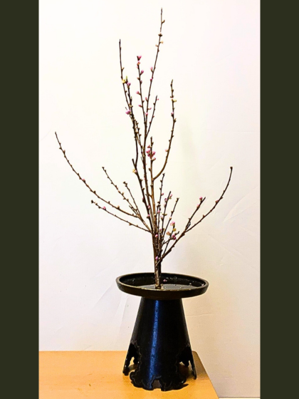 池坊　片岡いけばな教室　お稽古作品　一種生