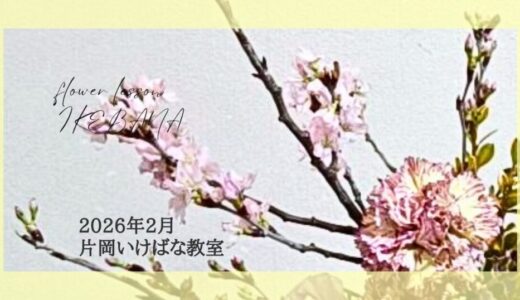 片岡いけばな教室｜2026年2月お稽古作品　三種生・自由花