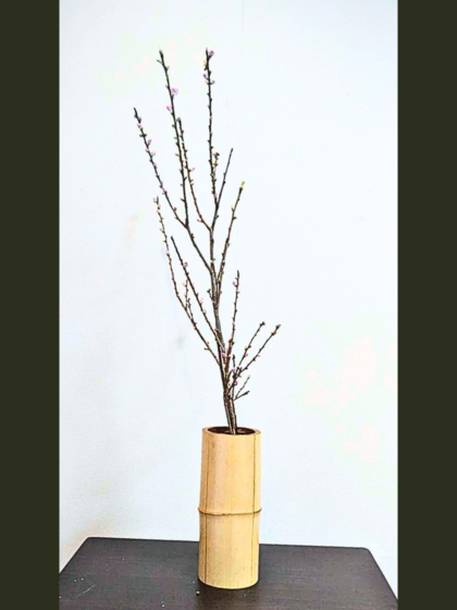 池坊　片岡いけばな教室　お稽古作品　一種生