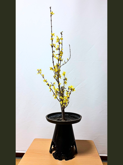 片岡いけばな教室 一種生