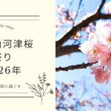 静岡県浜松市・東大山河津桜祭りへ行ってきました