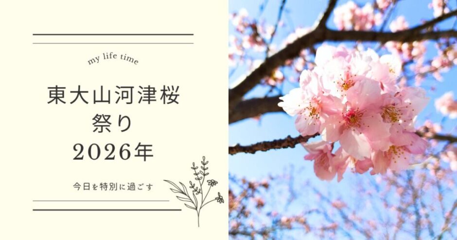 2026_浜松市東大山河津桜祭り