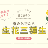 片岡いけばな教室_202603_4