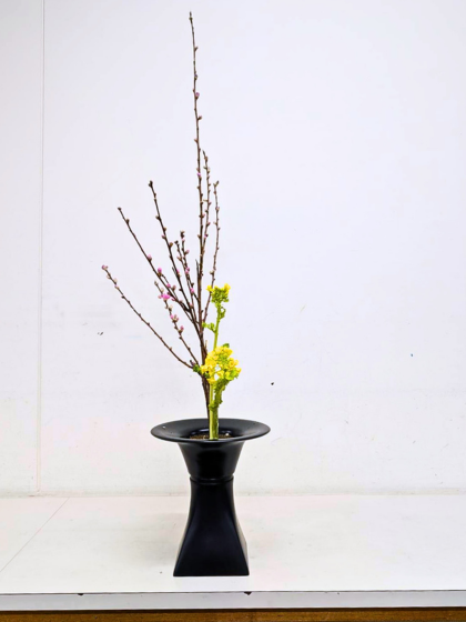 アイミティ浜松いけばな（池坊）仮曳馬教室　お稽古作品　二種生
