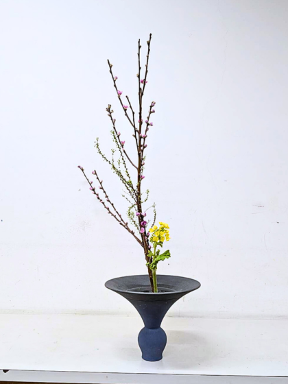 アイミティ浜松いけばな（池坊）仮曳馬教室　お稽古作品　三種生
