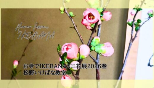松野いけばな教室｜お寺でIKEBANAミニ花展2026春
