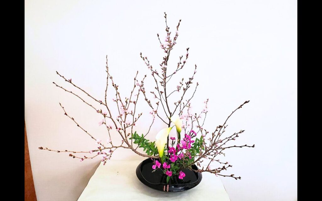 池坊 松野いけばな教室 自由花