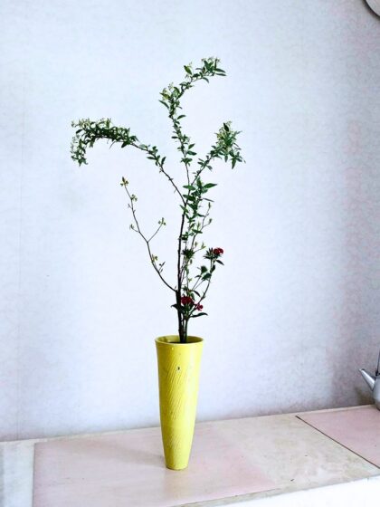 池坊 藤田いけばな教室 お稽古作品 三種生