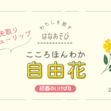松野いけばな教室_202602