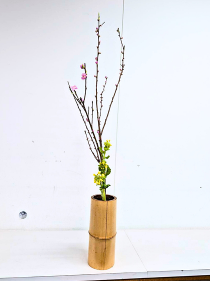 アイミティ浜松いけばな（池坊）仮曳馬教室　お稽古作品　二種生
