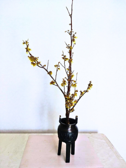 池坊 藤田いけばな教室 お稽古作品 一種生