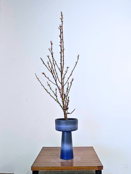 磐田市青城交流センター生け花教室　　
お稽古作品　生花　一種生