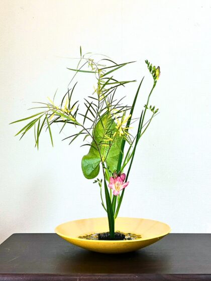 池坊 片岡いけばな教室 お稽古作品 生花新風体