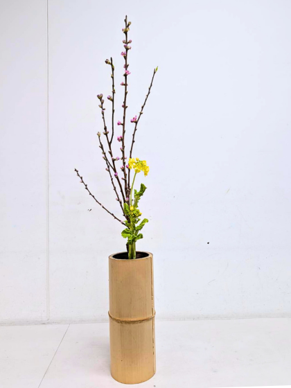 アイミティ浜松いけばな（池坊）仮曳馬教室　お稽古作品　二種生
