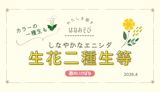 春のいけばな｜しなやかなエニシダを用いた生花二種生など