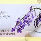 藤田いけばな教室｜藤の花をつかった自由花