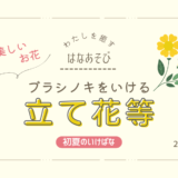 片岡いけばな教室_202605_2