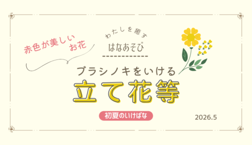 初夏のいけばな｜ブラシノキとトクサを用いた立て花など