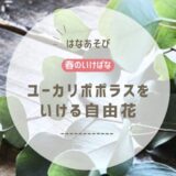 2026_アイミティ浜松いけばな(池坊)4月