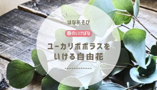 2026_アイミティ浜松いけばな(池坊)4月