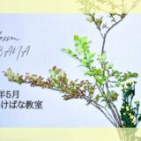 初夏のいけばな｜緑が美しい生花二種生、三種生