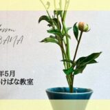 2026_片岡いけばな教室5月分