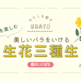 松野いけばな教室_202604_1