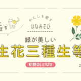 片岡いけばな教室_202605_4