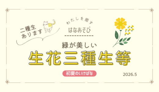 初夏のいけばな｜緑が美しい生花二種生、三種生