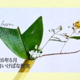 初夏のいけばな｜軽やかなお花をつかった自由花、生花新風体