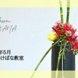 片岡いけばな教室｜初夏のいけばな　ブラシノキとトクサを用いた立て花など