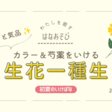 片岡いけばな教室_202605_1