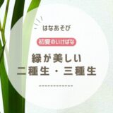 2026_片岡いけばな教室5月_4