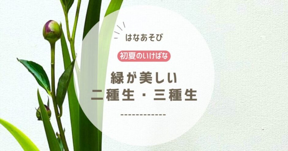 2026_片岡いけばな教室5月_4