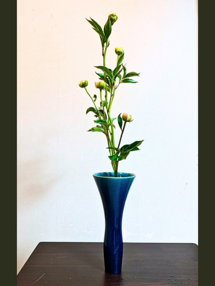 池坊 片岡いけばな教室 芍薬の一種生