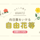片岡いけばな教室_202605_3