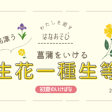 松野いけばな教室_202605_1