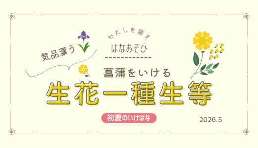 初夏のいけばな｜菖蒲の一種生をいけました
